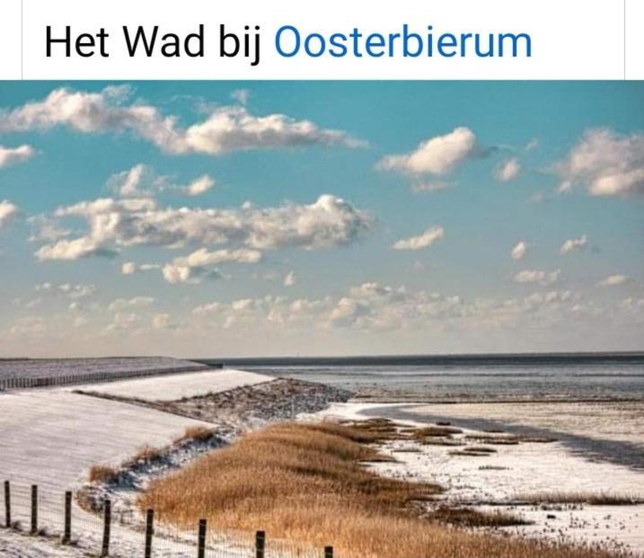 4-Persoons Vakantiehuisje Simmerwille Tzummarum المظهر الخارجي الصورة